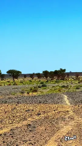 #ليبيا #النيجر #السودان #الصحراء_الغربية  #تشاد 