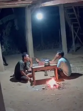 ចិញ្ចឹមខ្លា #tigher #ខ្មោចពិត 