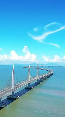 for you #amazingfacts #movieclip 