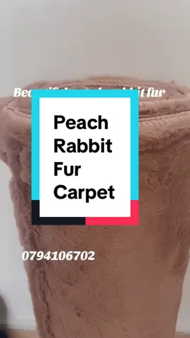Elegant plush peach rabbit fur.Never allow your house to be full..#onlinebusiness #rugsoftiktok #carpetsellerinkenya #kenyahomes #mtumba 