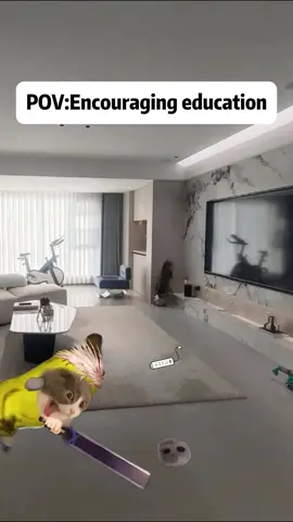 Encouraging education#catmeme #foryou #funnycat 