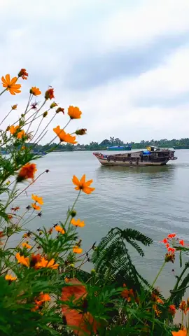 Trãi qua trăm cuộc đau thương..Người còn giữ mộng phi thường đó không??🌱🍀🌻🌵#mientay#tamtrang 