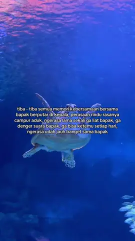 #kangenayah #ayah #ayahhebat #bapak #rindubapak 