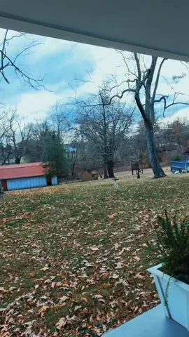 #onthisday #fyp #fypシ゚viral #foryoupage #truth 