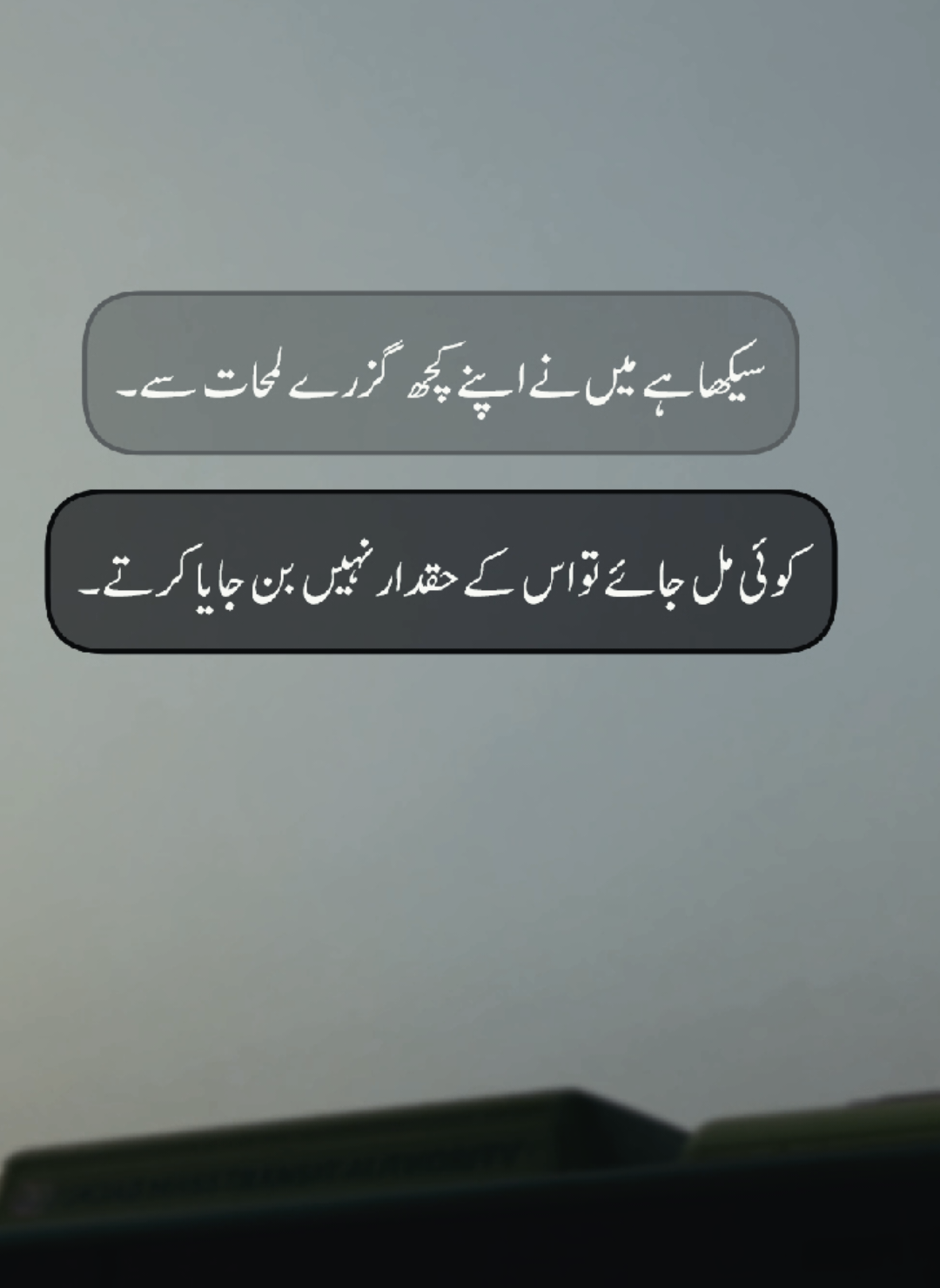 سیکھا ہے میں نے اپنے کچھ گزرے لمحات سے ۔ کوئی مل جائے تو اس کے حقدار نہیں بن جایا کرتے۔ #lost_Uzi8035 #foryoupage #foryoupage ##plzunfrezemyaccount #plzdontunderviewsmyvedios 
