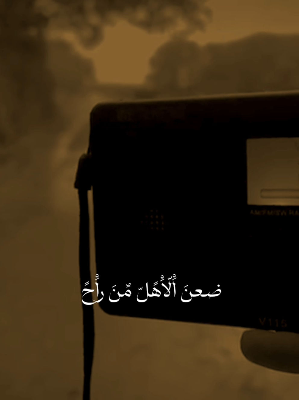 ضعن الاهل من راح 💔،                              #توفيق_الساري_والي_بور  #السلام_عليك_يااباعبد_الله_الحسين_عٍ  #تصميم_فيديوهات🎶🎤🎬 