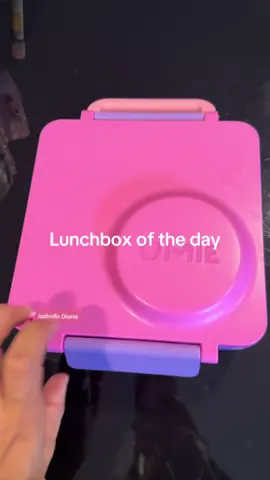 What I sent on the lunchbox for my 4 year old today! The Omie box makes it so easy for me to send her a hot meal 😍