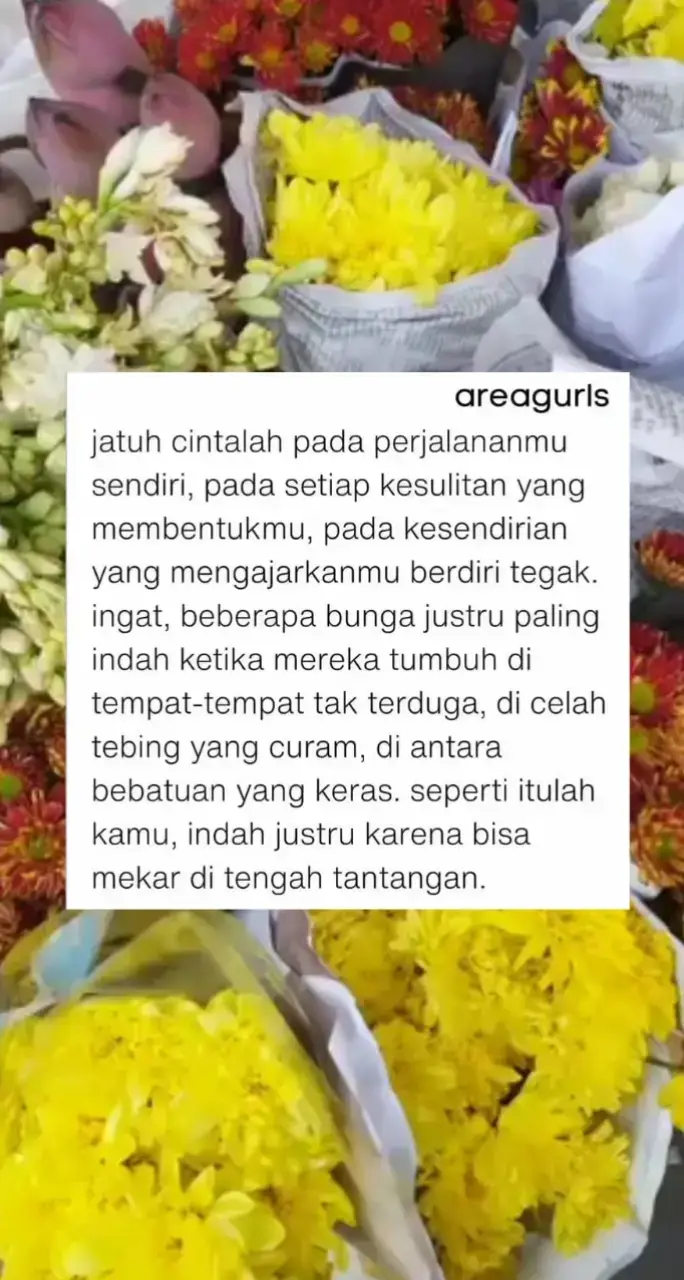 belajar nikmatin prosesnya, bukan cuma hasilnya 🌿✨ kadang hal indah lahir dari masa yang paling berat. #selfjourney #aestheticquotes #dailyreminder  #fyppppppppppppppppppppppp #fypage 