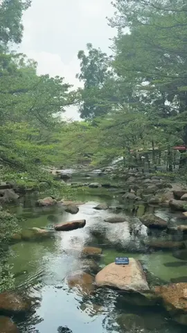 thủy châu #CapCut #views #xuhuong #thuychaubinhduong #dulich 