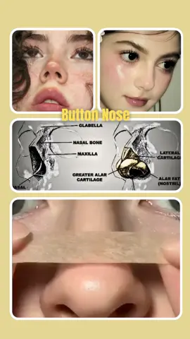 Slim+Button Nose Exercise Gua Sha Tutorial (Do this exercise daily 15min) #button #nose #nosequeponer #nosejobcheck #foryoupageofficiall #fyp #viral #virall 