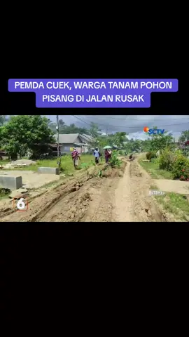 Kesal lantaran jalan tak kunjung diperbaiki selama puluhan tahun oleh pemerintah, puluhan warga di Kecamatan Cikeusik, Kabupaten Pandeglang, Banten, menanam pohon pisang dijalan rusak. Aksi ini dilakukan, sebagai bentuk kekecewaan warga kepada pemerintah untuk segera memperbaiki jalan tersebut. #birosctvbanten #birobanten #sctvbanten #liputansctvbanten #newssctvbanten 