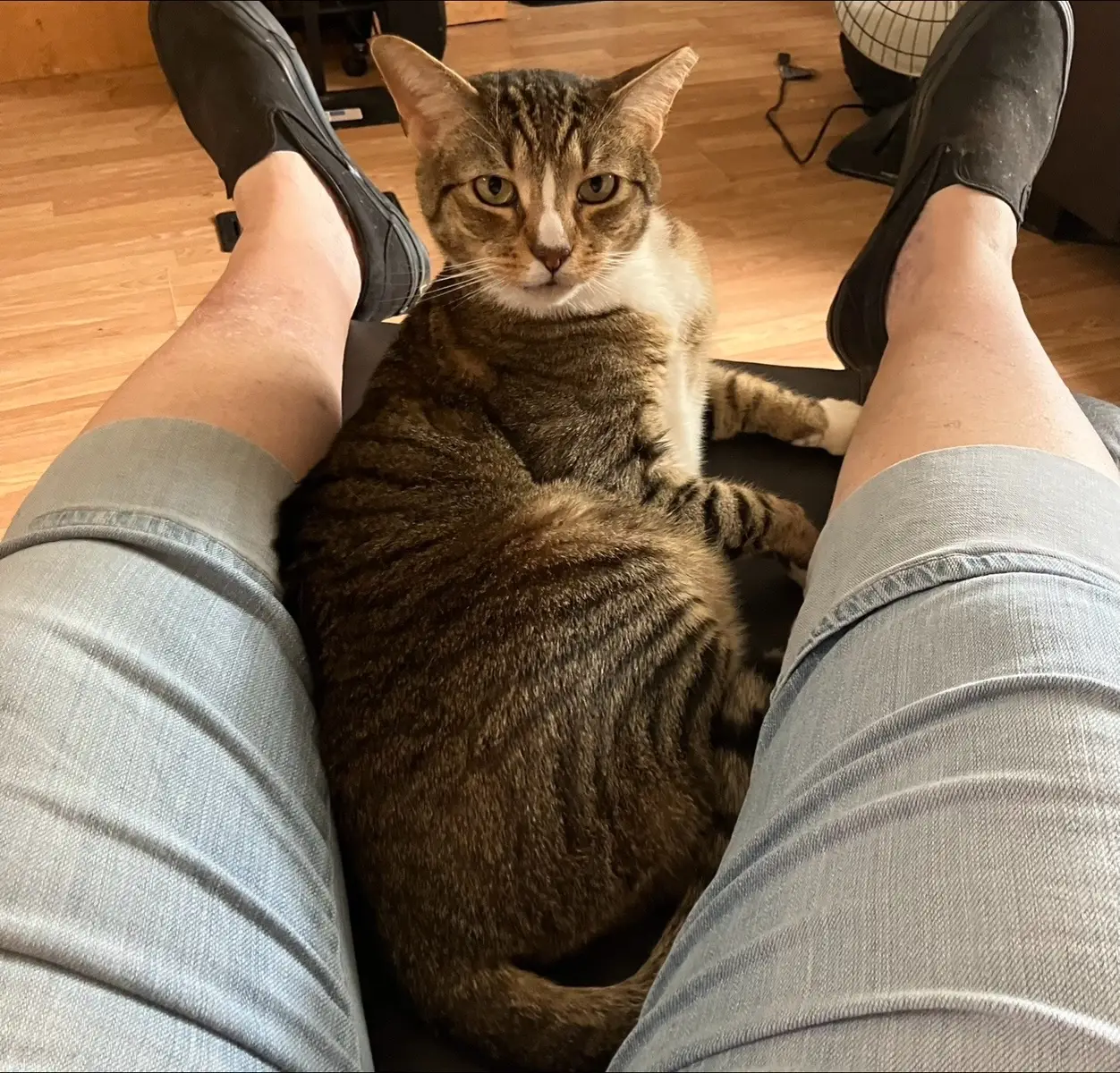 Rasco absolutely loves being with me (his mommy) except when I disturb his sleep. 🤣😂🤣😂🤣