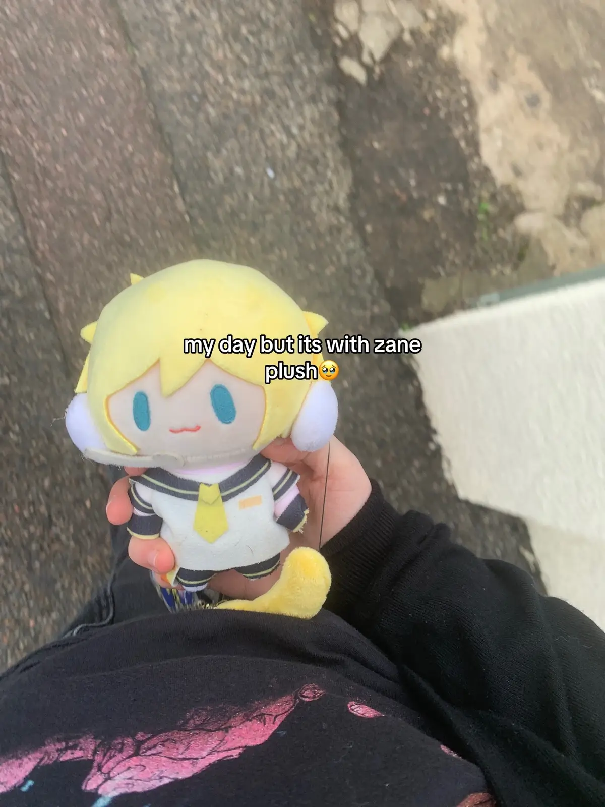 yes i named my plush after zaneishy why..? . , #kagaminelen #vocaloid #fyp #pjsk #trend @𓏵  zane ⸝⸝ len 🍌 