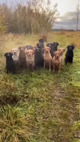 God Funny Video 🤣🤦 #fyp #kisankushwaha #viralvideo #foryou #tiktokviral 