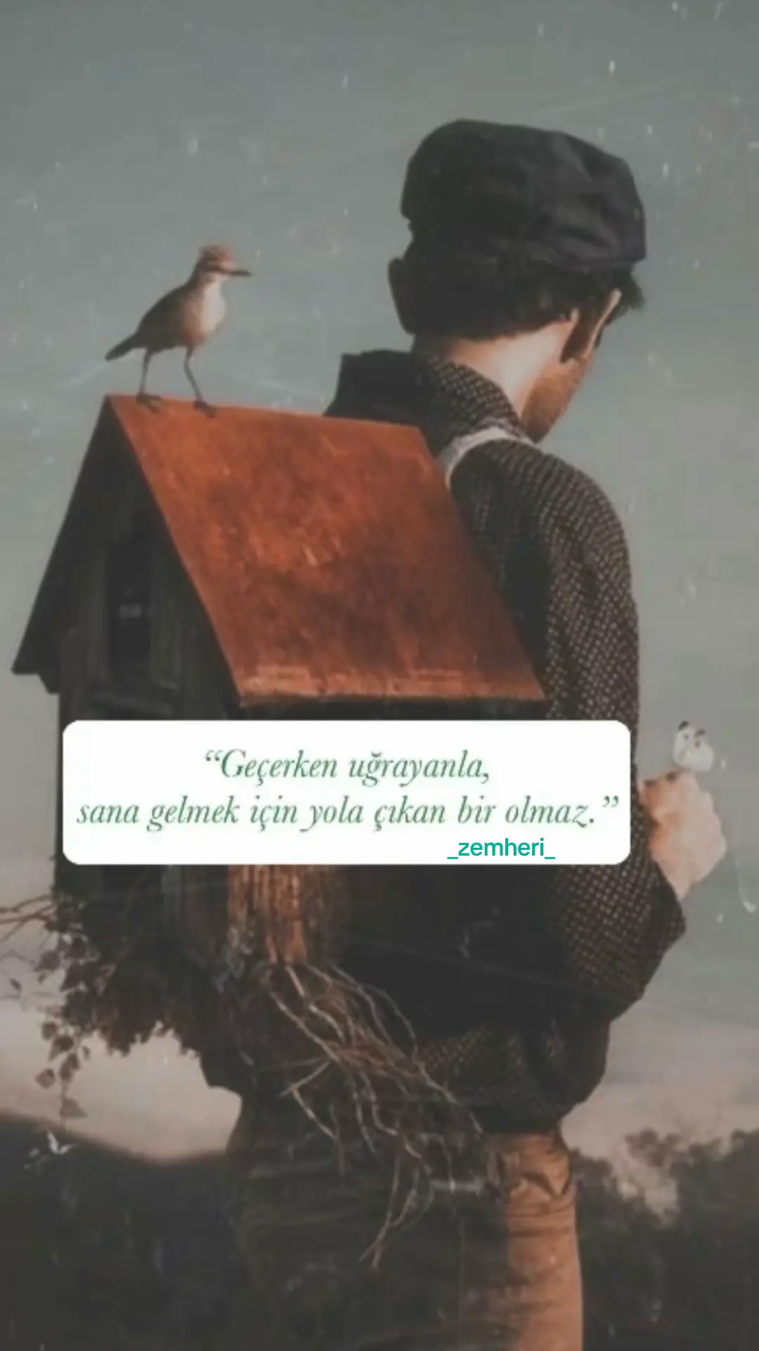 #kurdish #hozandiyar 