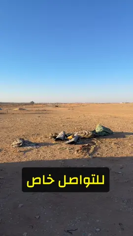 خيل مفقودة#اللهم_صلي_على_نبينا_محمد #trend #اكسبلور #الشعب_الصيني_ماله_حل😂😂 #اكسبلورexplore 