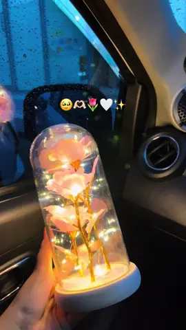 Sekarang ga hawatir kalo bunganya layu🥹🫶🏻 #florist #birthdaygift #bunga #kadoultah #bungalampu 