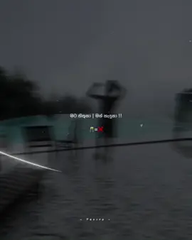 No drugs 🥂❌ #teddy_creats #foryou #foryourpage #viral #trending 