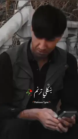 🥀 ښکلي ترنم  #pukhtoon_typist46 #foryou  #foryoupage #pashtotappy 