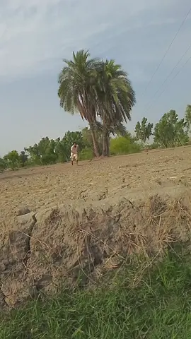 #standwithkashmir #flypシ #flypシ #flypシ 