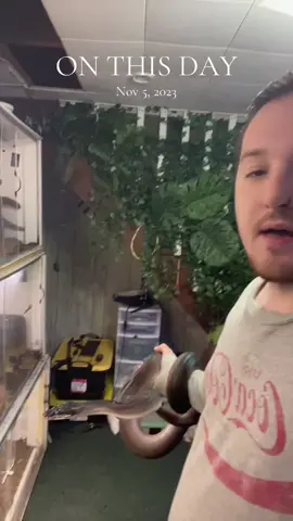 In honor of my big old man being officially retired, and living out the rest of his days in luxury… #onthisday 