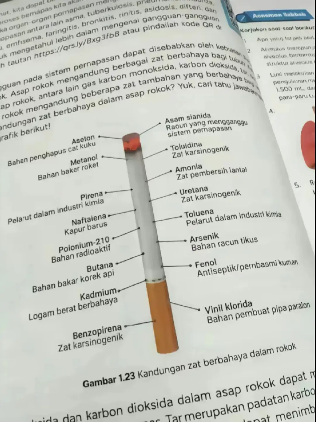 Merokok memiliki banyak bahaya bagi kesehatan karena kandungan zat-zat berbahaya di dalamnya. Zat-zat ini dapat menyebabkan berbagai penyakit serius seperti kanker, penyakit jantung, dan masalah pernapasan. Beberapa zat berbahaya yang terkandung dalam rokok antara lain nikotin, tar, karbon monoksida, dan berbagai bahan kimia lainnya. Zat-zat Berbahaya dalam Rokok: 1. Nikotin: Zat adiktif yang membuat perokok kecanduan dan sulit berhenti merokok. 2. Tar: Kumpulan zat karsinogenik yang menyebabkan kanker dan mengendap di saluran pernapasan dan paru-paru. 3. Karbon Monoksida: Gas beracun yang menghalangi suplai oksigen ke seluruh tubuh, memaksa jantung bekerja lebih keras, dan mengganggu kerja paru-paru. 4. Bahan Kimia Lainnya: Seperti benzena, hidrogen sianida, formaldehida, arsenik, dan kadmium, yang semuanya bersifat toksik dan karsinogenik. #trendrokok #bahayamerokok #mustang #climax #winclick 