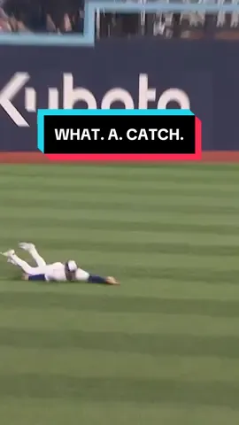 This angle of Daulton Varsho's clutch Game 7 catch 😲 #MLB #BlueJays #WorldSeries #basebal 