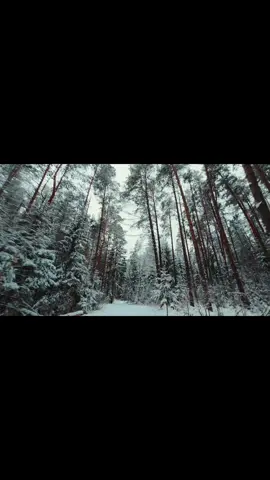 Do you understand? #fyp #fypシ #foryoupage #real #motivation 