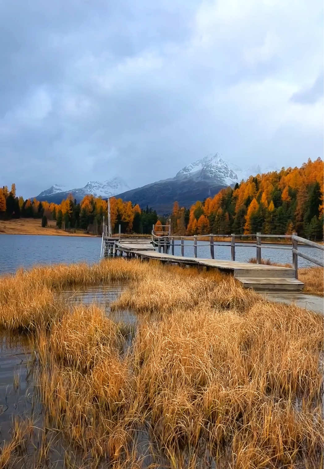 📍Lej da Staz, Switzerland 🇨🇭 Follow for daily Swiss Content 🇨🇭 Want to know the exact location of this spot? 🗺️ Check the link in my bio! 🫶🇨🇭 📌 Don’t forget to send this to your friends for your next trip to Switzerland. 🎥 by @swissmici  #switzerland #schweiz #swiss #suisse #stmorit 