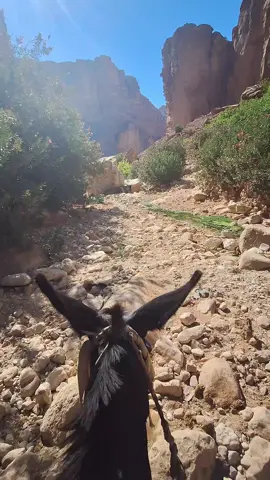 ##البتراء #تصويري #كسبلور_explor 