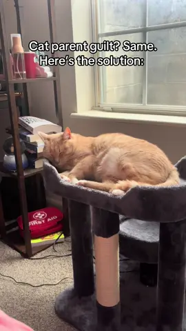 @WhiskertonsUSA we love it!! #cattoy #cattoys #cattok #catsoftiktok #catlover 