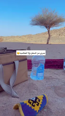 #اكسبلور_explored 