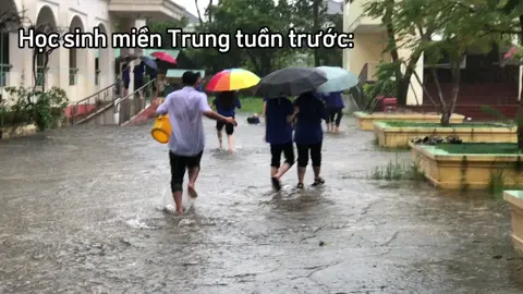 Cái miền khổ nhất thế giới⛈️🌪️ #bão #thptletrungdinhquangngai ##letrungdinhnetwork #76quangngai #nghỉbão 