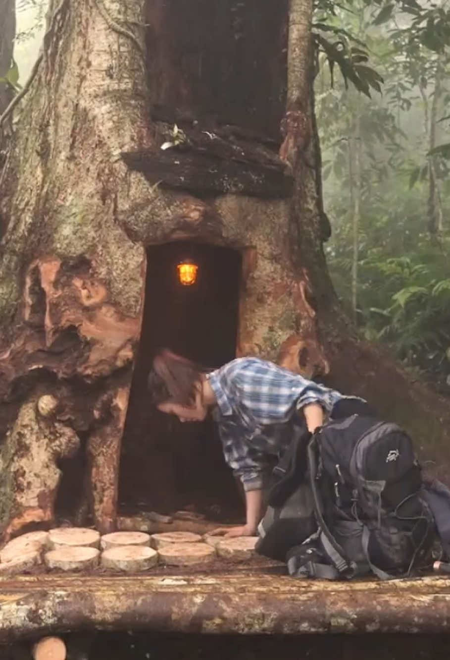 #shelter #treehouse #survial #camping 