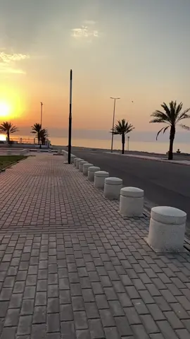 #عشوائيات_مصورة🤍✨ #حقل #اكسبلورexplore #تصويري📸 