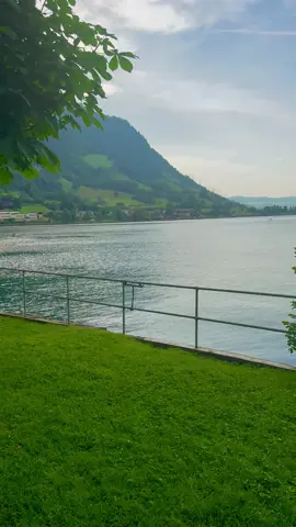 Switzerland 🇨🇭 #switzerland #shahrukhkhan #سویس #شاروخان 
