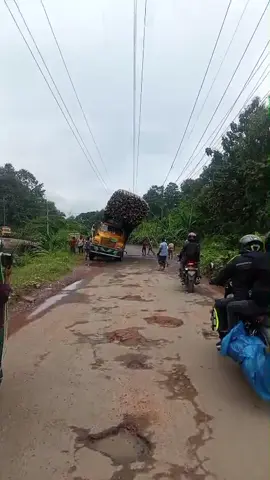 #😴😴😴😴😴😴  কি খবর সবার#😴😴😴😴😴😴 