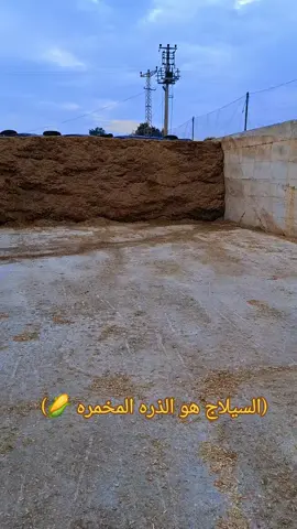 #تركيا_العراق_الكويت_مصر_سوريا #البان #المراعي #youtube #اعادةنشر🔃 