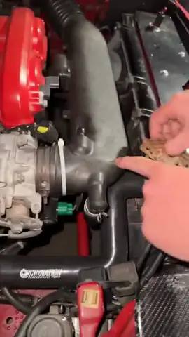 #frog#car#engenieer#meccanico