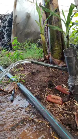 #agriculture #frypgシ #france 