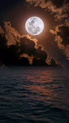 #اللهم_ارحم_زوجي_واغفر_له💔 #اللهم_ارحم_موتانا_وموتى_المسلمين #انا_لله_و_انا_اليه_راجعون #😭 #💔 