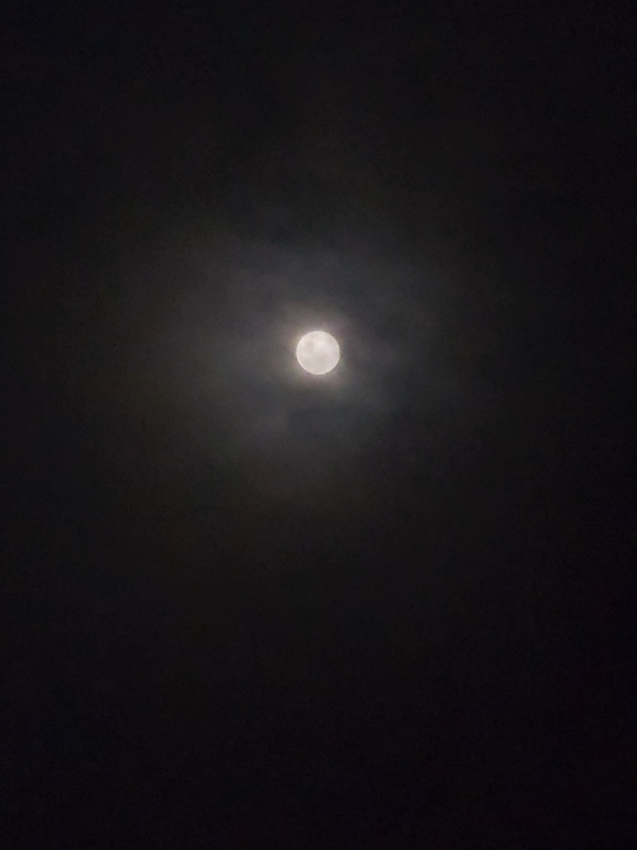 ما د خاپېرو جامي اغوستې په هوا يم  #مور #mother #father #پدر❤️مادر #پښتون 