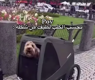 تحسب هههههه#اكسبلورexplore 