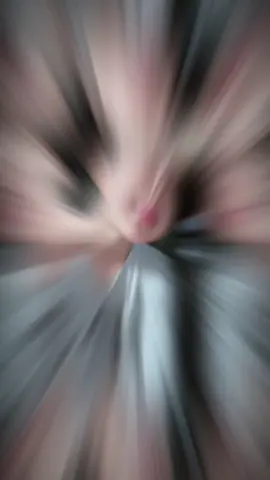 gom tất cả ảnh=)) #xh #fop #truongchikien #tinhyeuxh 