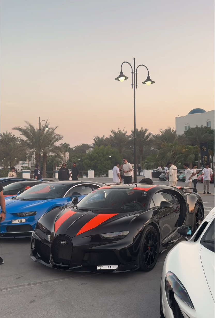 This or a Jesko?#bugatti #chiron #hypercar #dubaicars #carspotting