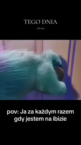 @VIRGO NIGHTBASSE @virgo_team tak jest nie zmyslam 😆❣️🥹#ibizagwiździny #virgonightbasse #virgoteam #vixa #dlaciebie 