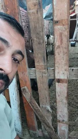 😂😂😂😂😂😂