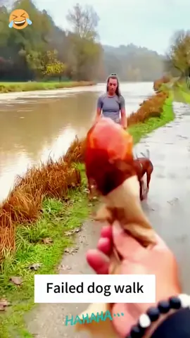 Failed dog walk😂😢#tiktok #funny #dog #dogsoftiktok #funnyvideos #usa🇺🇸 
