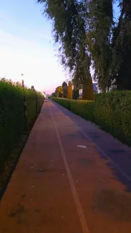 #الوطن_العربي #مصر #تلعراق 