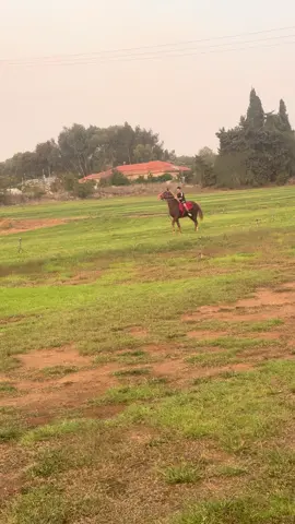 #adnan_kfaja #סוסיםזהדרךחיים🐴🥕 